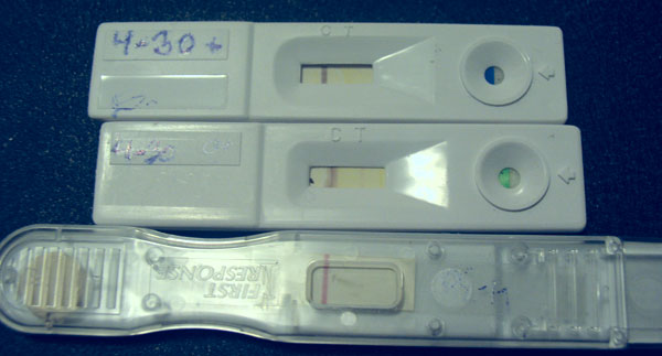 The dollar store pregnancy tests are considered cheap, and one of the best ...